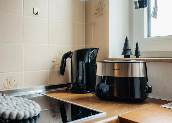 公寓 Harzblick 642 *