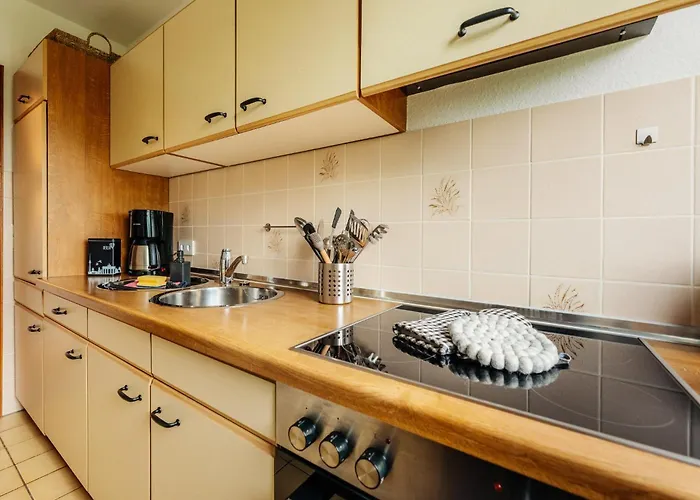 Harzblick 642 公寓 *